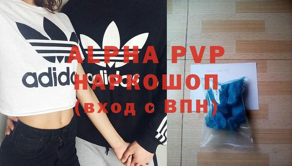 стафф Медногорск